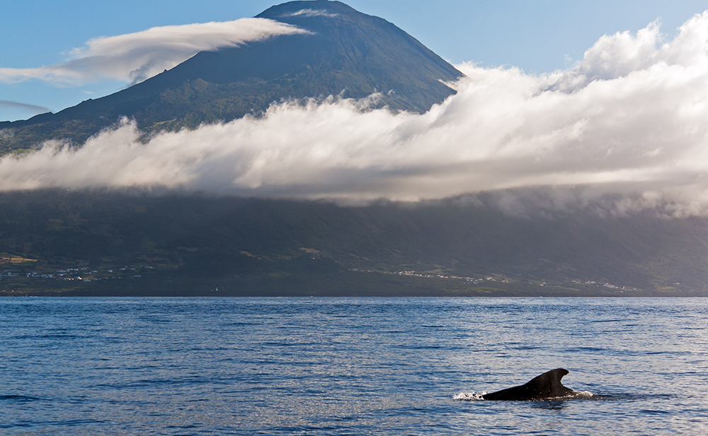 Horta, Azores